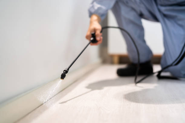 Licensed Pest Control service in Commerce, OK - Show Me Pest Control