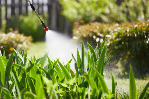 24/7 Emergency Mosquito Control experts in Commerce, OK